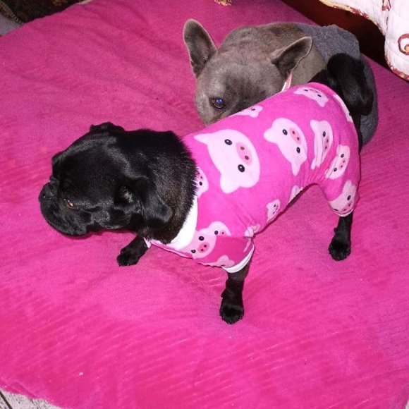 Pink Pig Dog Pajamas PJ's Doggy Animal Pet Clothing Medium Cutebone - Picture 4 of 5